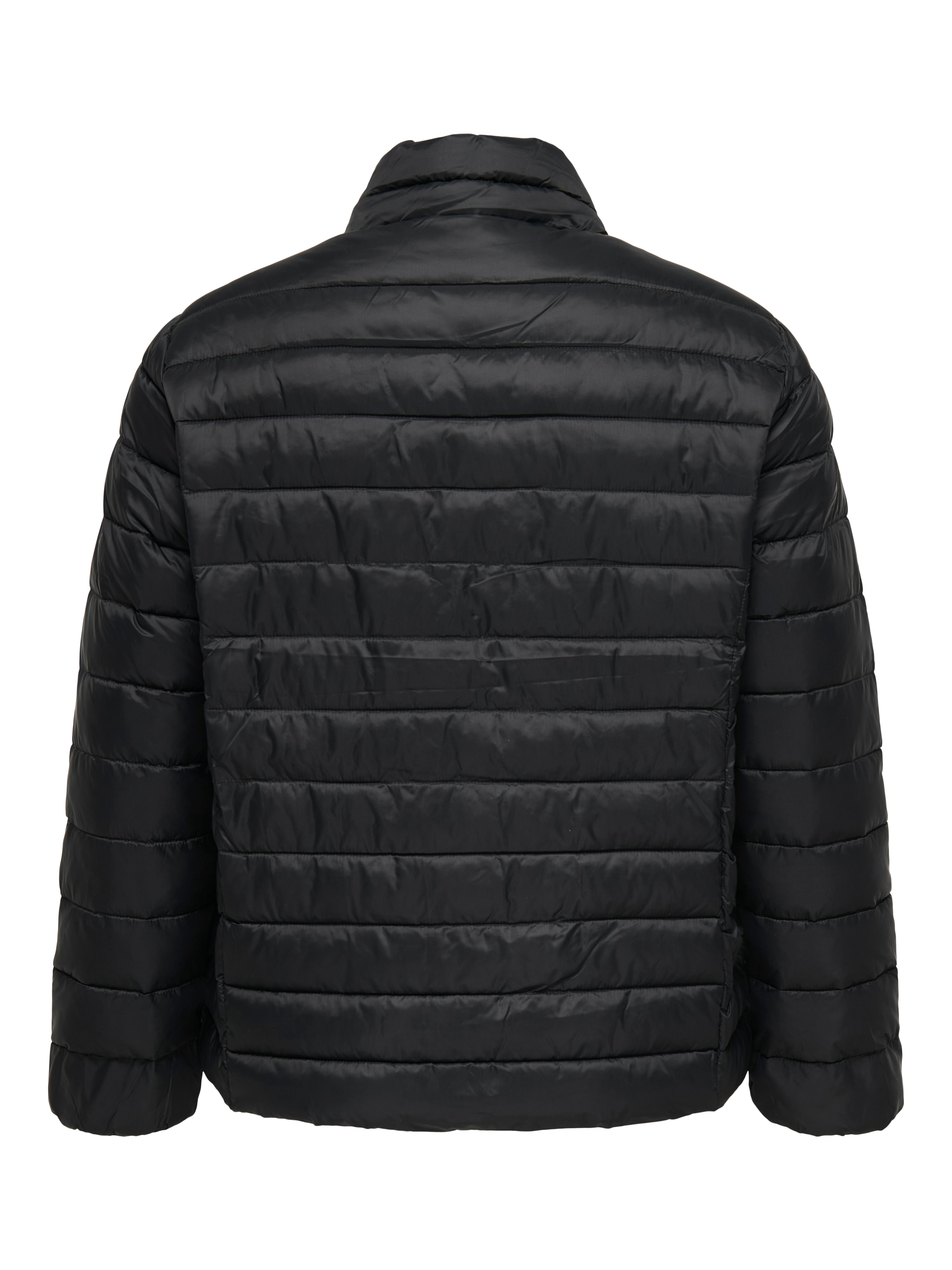 Only Carmakoma Tahia Jacket in Black