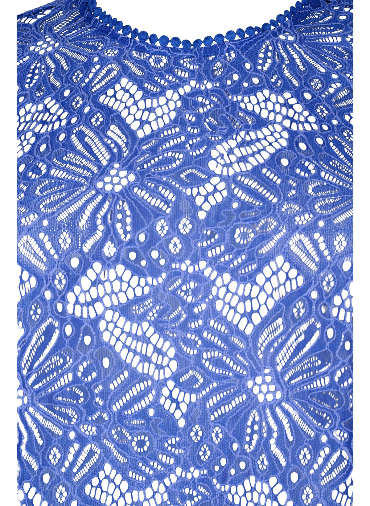Zizzi Anne Lace Blouse in Blue