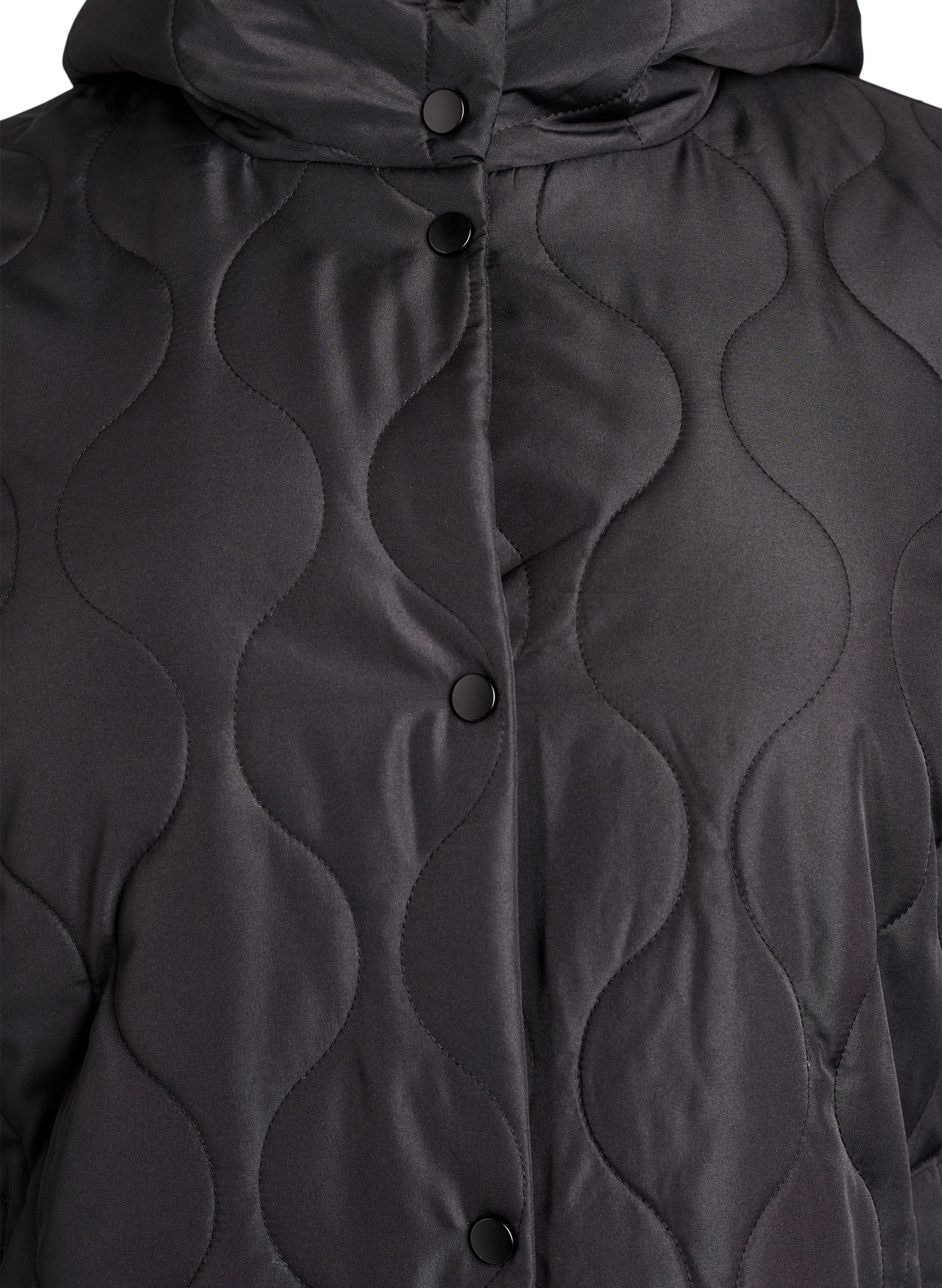 Zizzi Bibi Coat in Black
