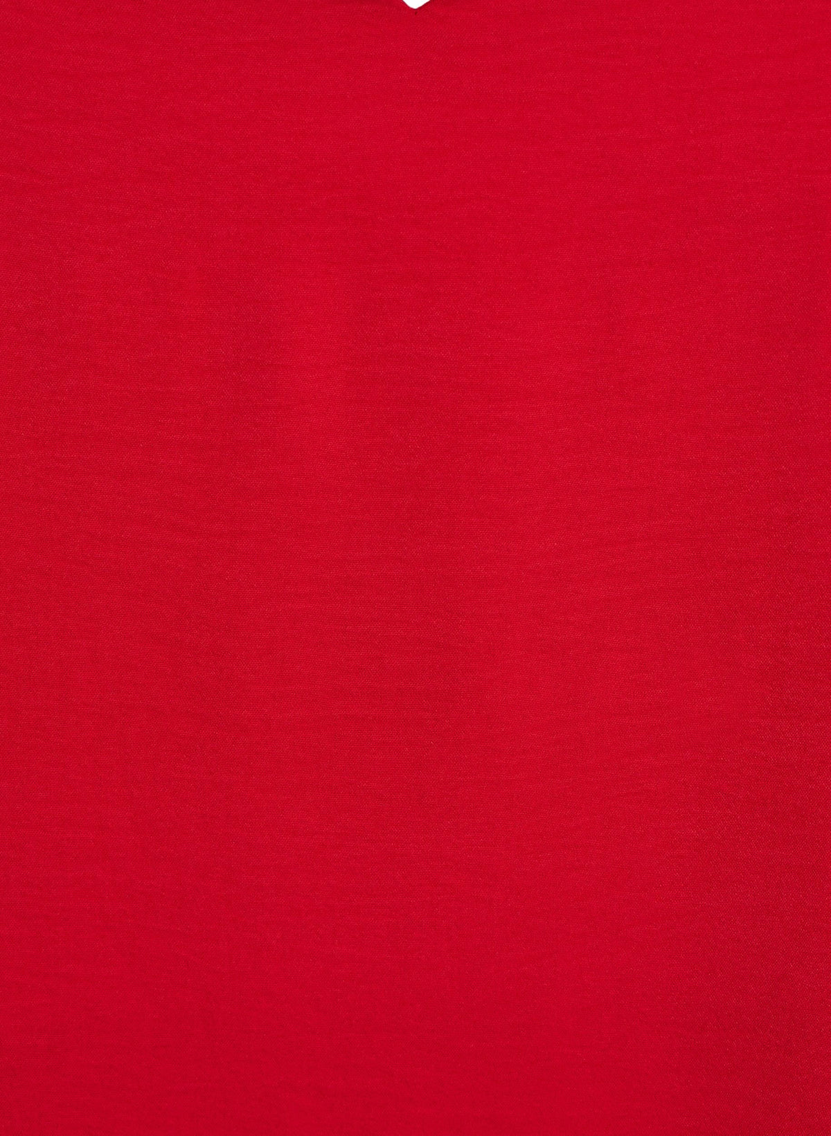 Zizzi Fikka Cami in Red