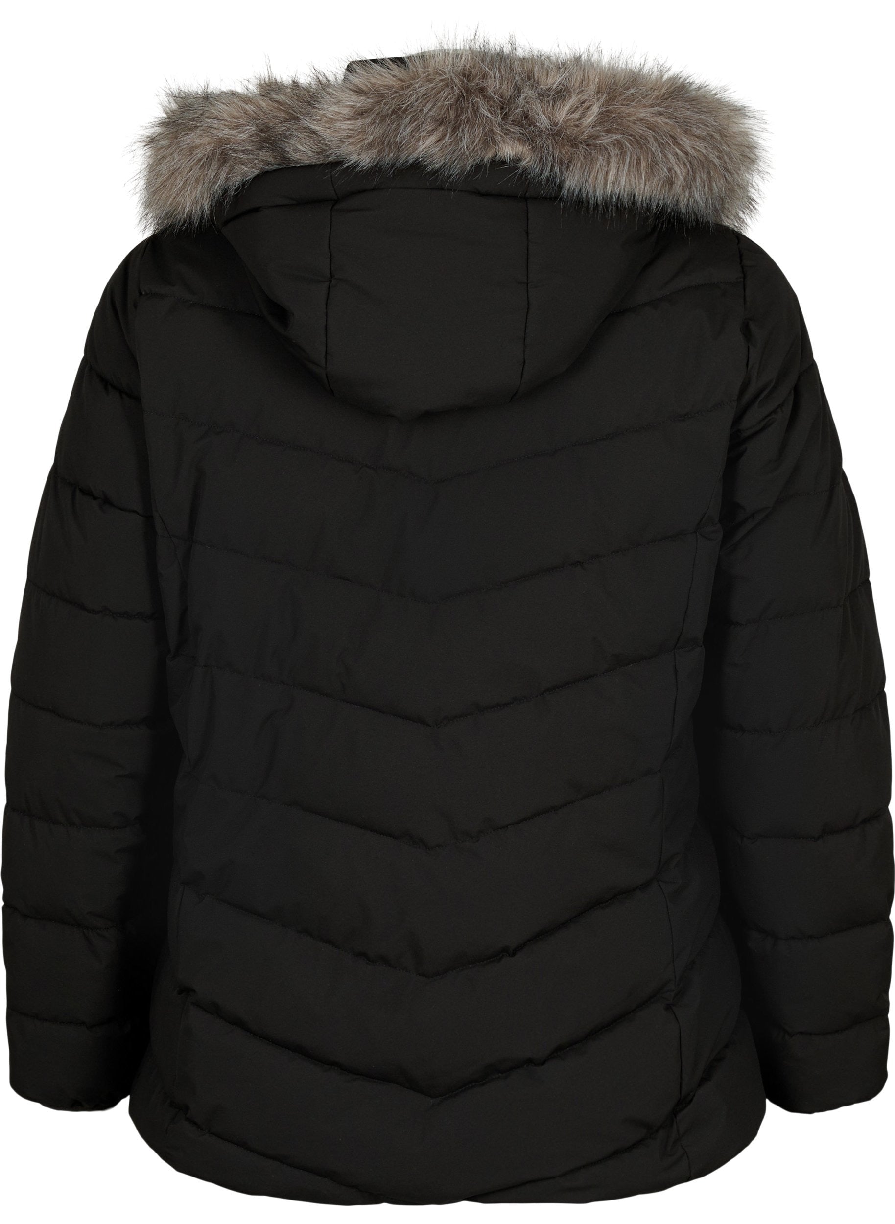 Zizzi Julia Jacket in Black