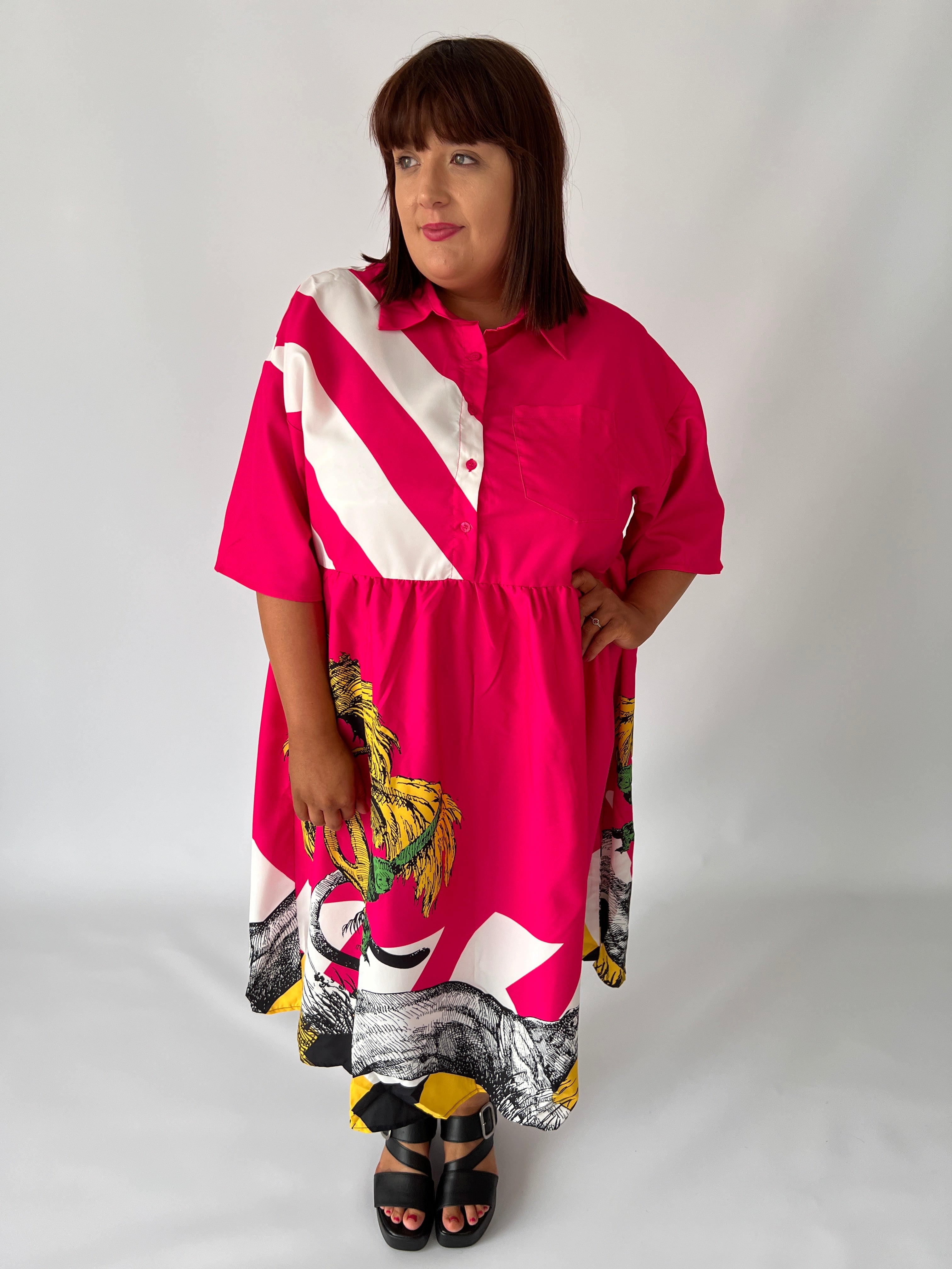 Nala Printed Dress in Pink