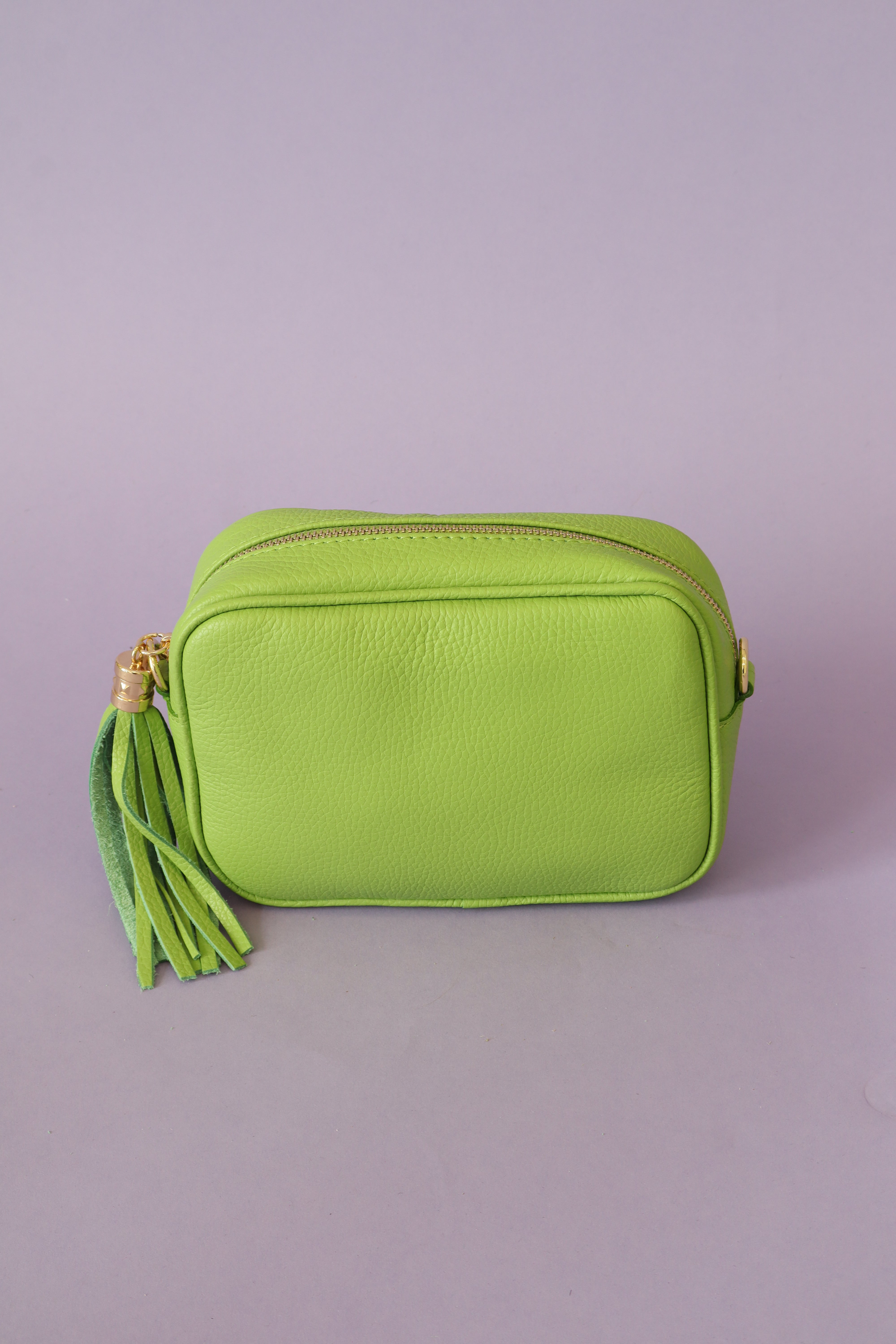 Remi Handbag in Lime
