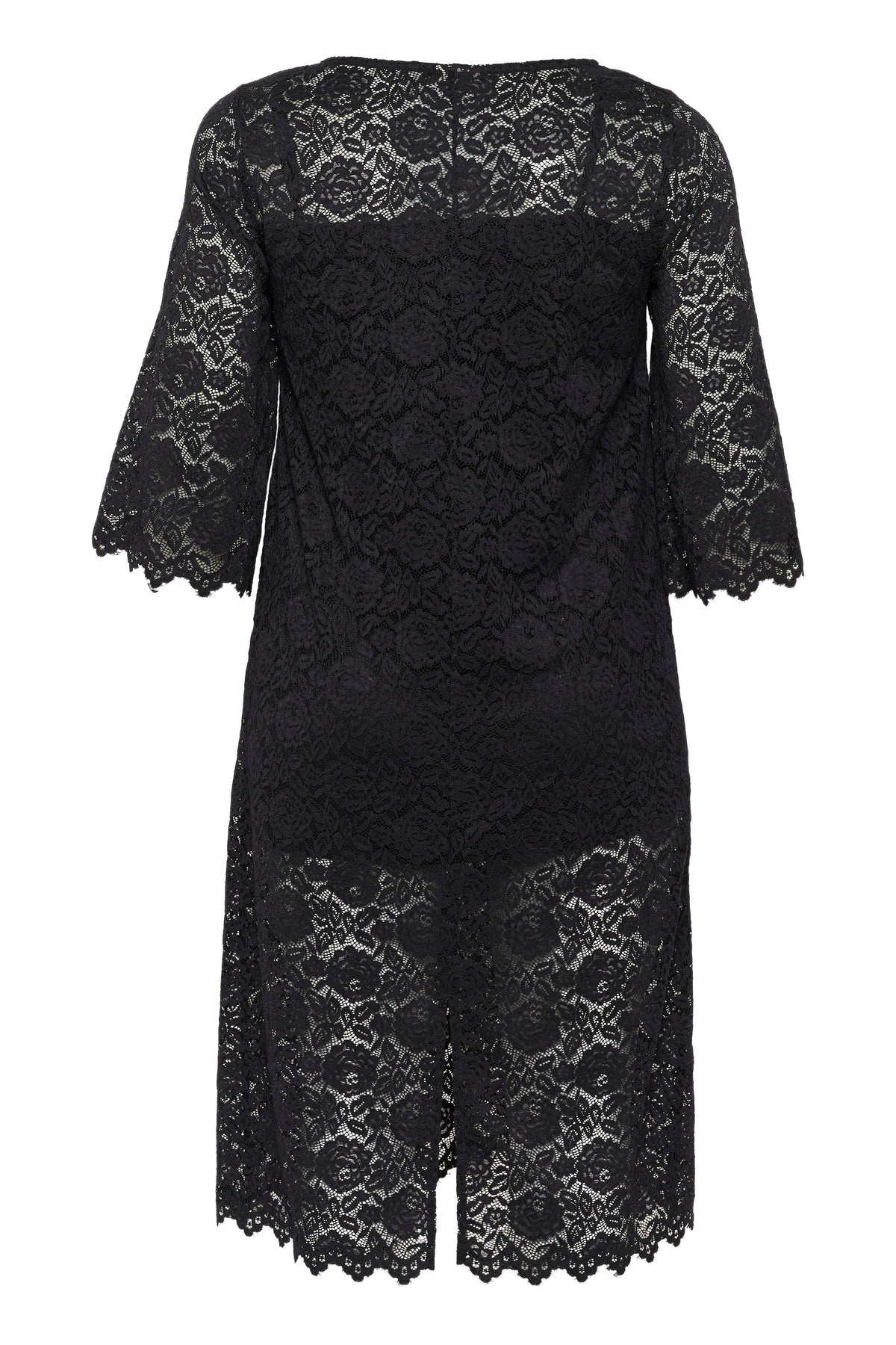 Kaffe Curve Jaida Lace Dress