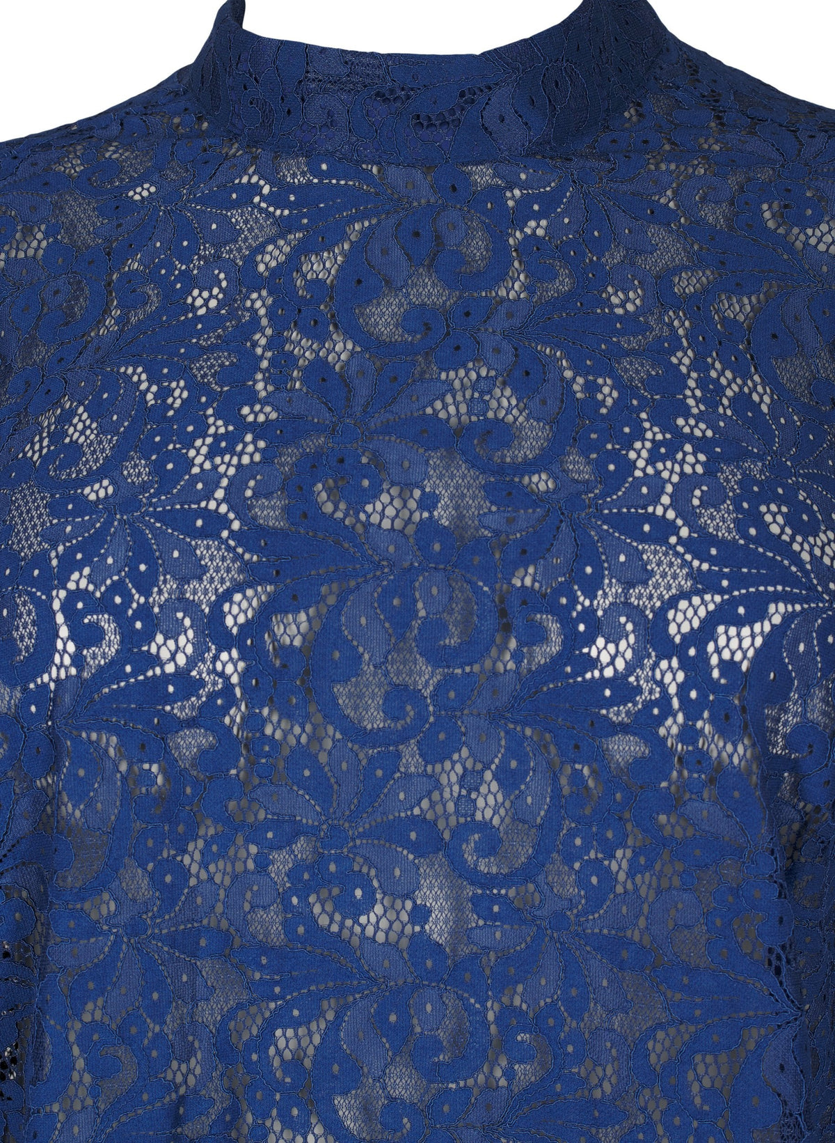 Zizzi Ginsita Lace Blouse in Blue
