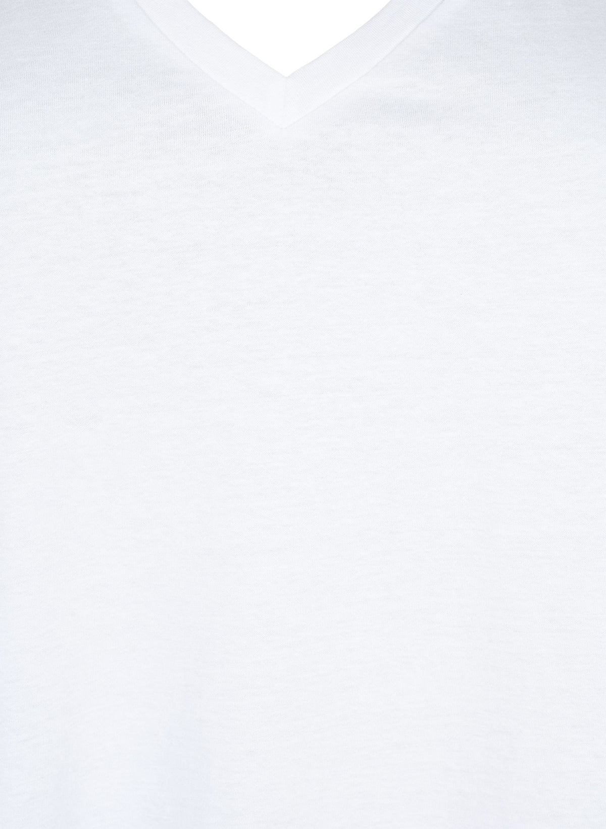 Zizzi Brynn T-Shirt in White