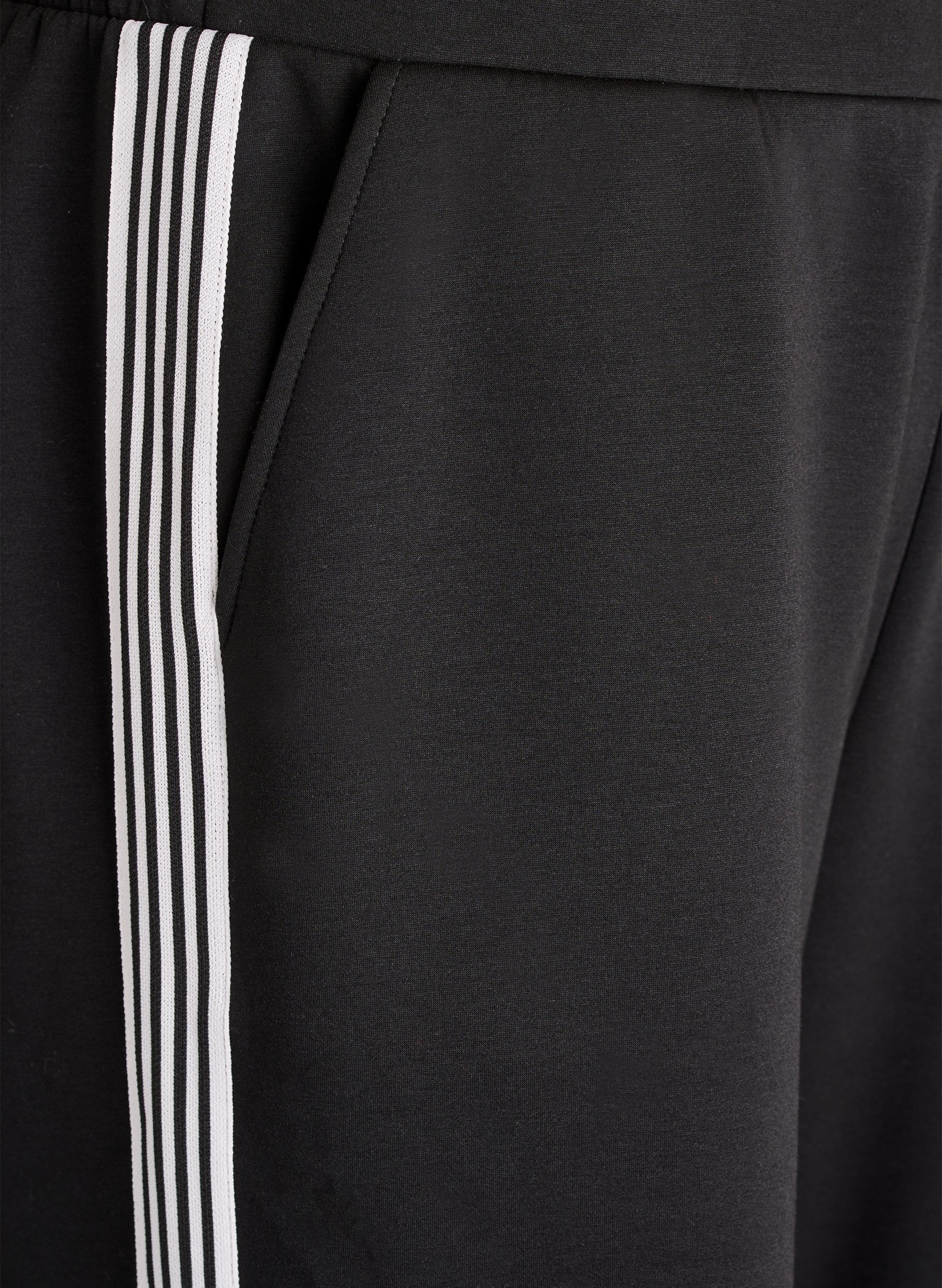 Zizzi Cleo Trouser in Black