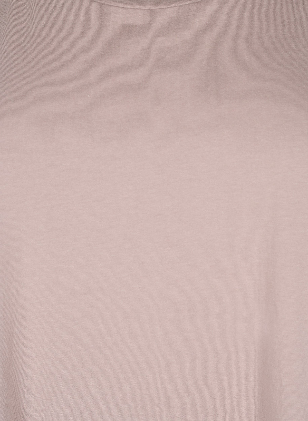 Zizzi Katja T-Shirt in Taupe